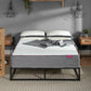 SleepSoul Paradise King Mattress