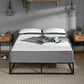 SleepSoul Paradise King Mattress